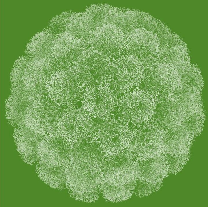 virus (2)b
